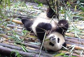 Chantiers Humanitaires : Chine Chantiers Humanitaires : Chine