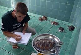 Écovolontariat & environnement : Thaïlande Écovolontariat & environnement : Thaïlande