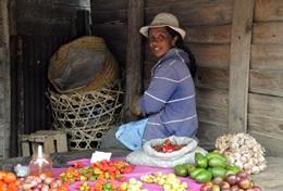 Etre volontaire à Madagascar avec Projects Abroad : Cours de langues et séjours linguistiques Etre volontaire à Madagascar avec Projects Abroad : Cours de langues et séjours linguistiques